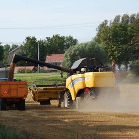 pakkenpers in Oudenhoorn