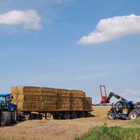 persen en wikkelen Rijnmondgebied