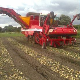 Loofklappen, rooien en poten