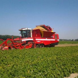 oogstwerkzaamheden in Rijnmondgebied
